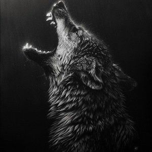 Meet your Posher, Carlos